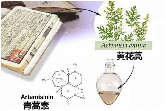 OD注册网(中国区)首页,：向中医药看齐，与世界共享中医药文化(图1)